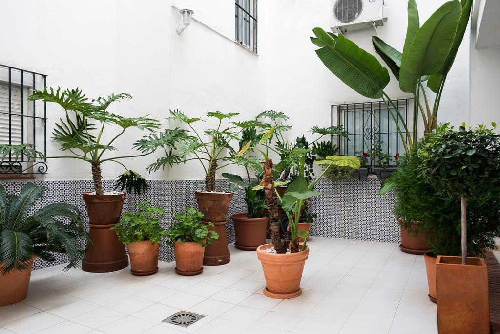 Urbanchicmalaga 3 Bedroom Spacious Quiet Historic Malaga Apt Buitenkant foto